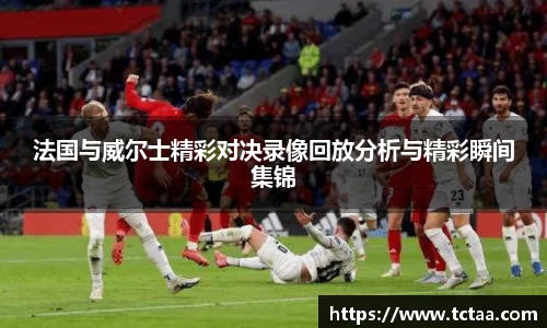 法国与威尔士精彩对决录像回放分析与精彩瞬间集锦