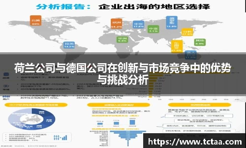 荷兰公司与德国公司在创新与市场竞争中的优势与挑战分析