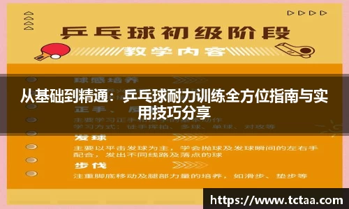从基础到精通：乒乓球耐力训练全方位指南与实用技巧分享