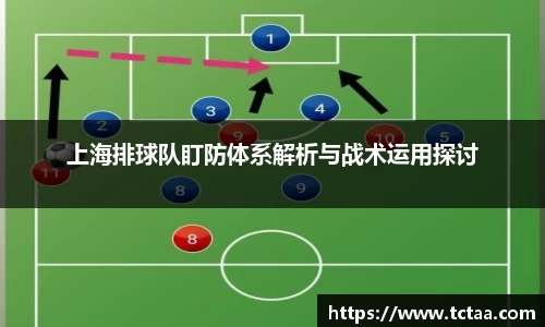 上海排球队盯防体系解析与战术运用探讨